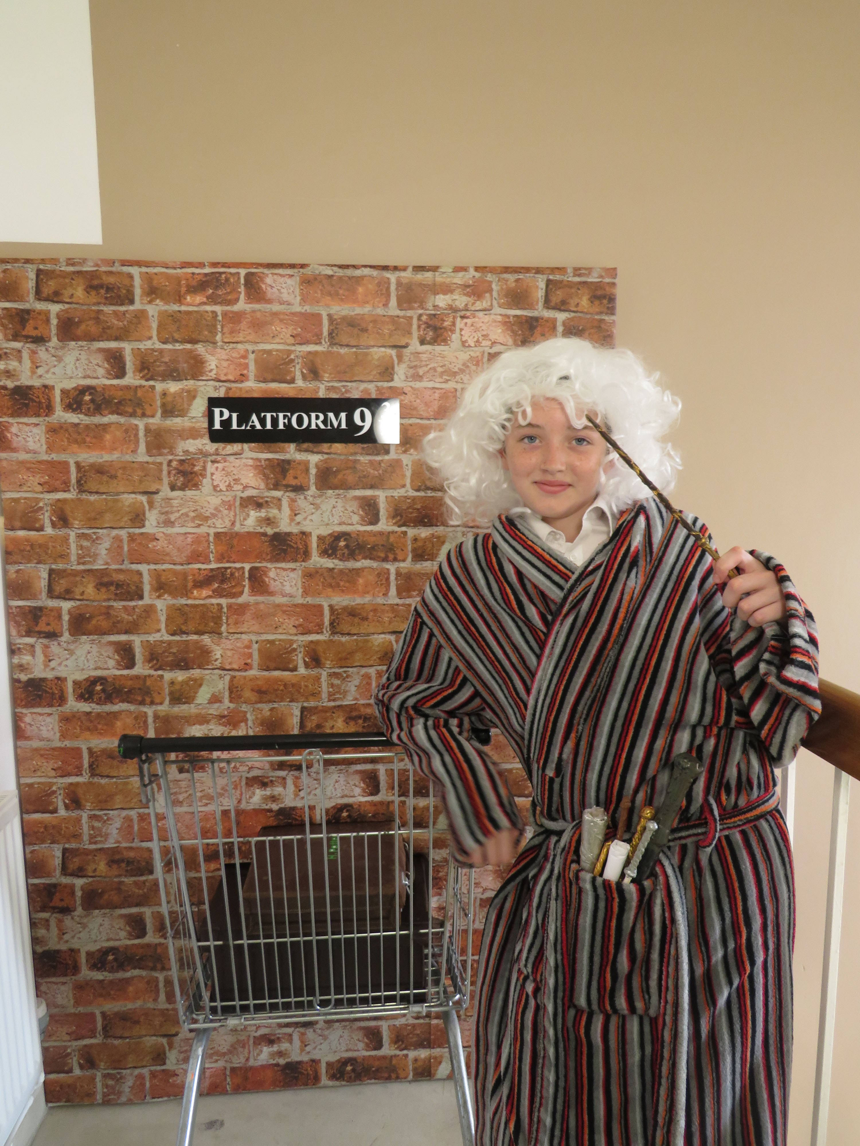 Harry Potter Day at Bromsgrove Prep School, 20th June 2017